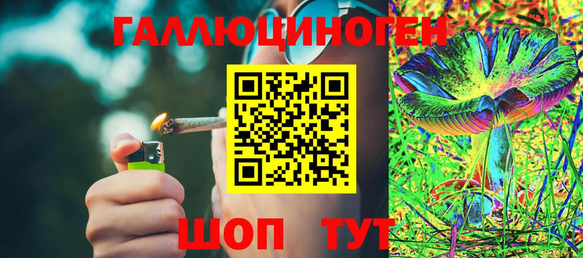 Псилоцибиновые грибы MAGIC MUSHROOMS  Галлюциногенные грибы Magic Shrooms  Вход с VPN  Петропавловск-Камчатский 
